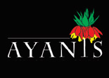 ayanis turizm