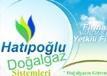 vanwebtasarim